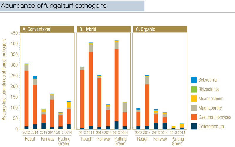 Fungal turf pathogens