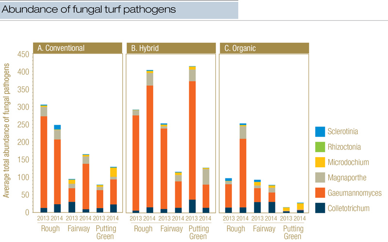 What lies beneath: The microbes at play on golf courses Fungal turf pathogens