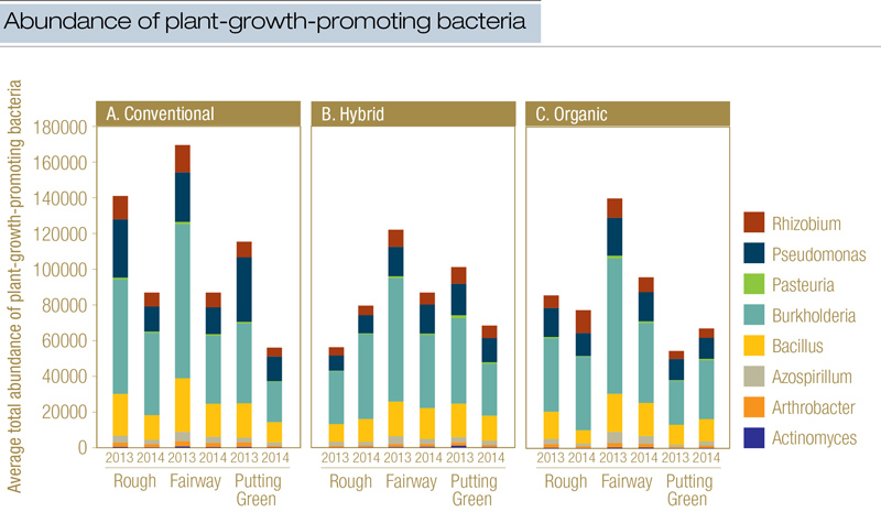 What lies beneath: The microbes at play on golf courses Golf course bacteria