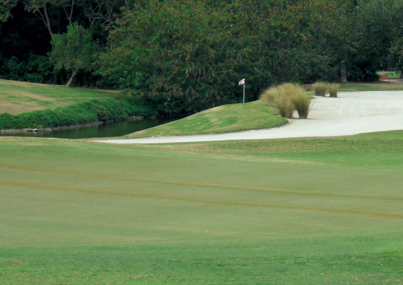 Oil spills on turf: Facts and myths Golf course oil spill