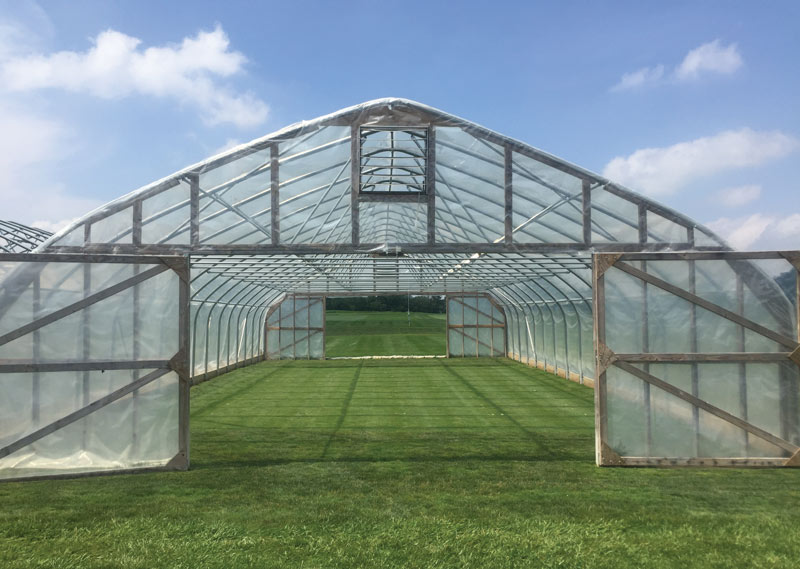 Hoop house rainout shelter