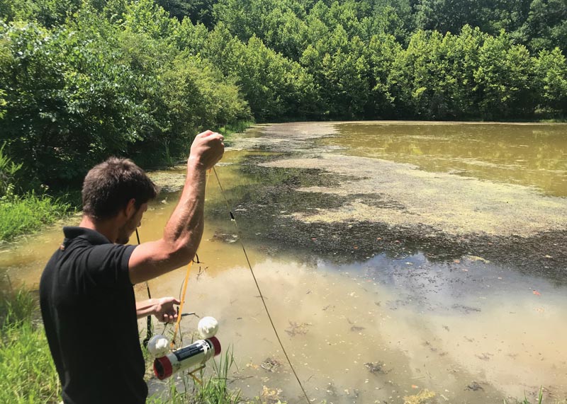 Irrigation water as a source of Pythium inoculum Irrigation water pythium