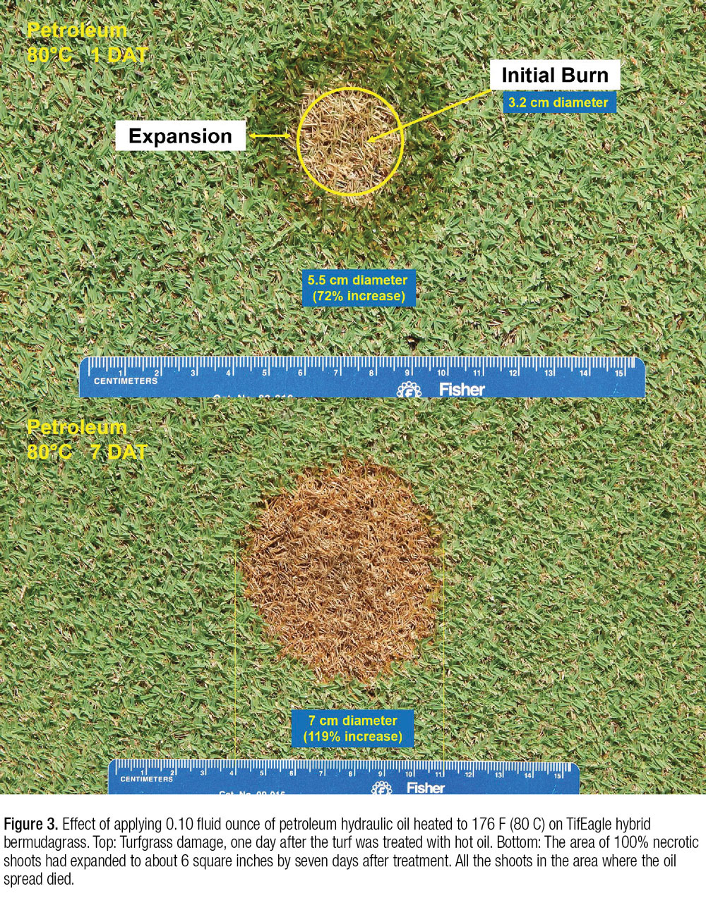 Oil Spills On Turf Facts And Myths Gcmonline Com