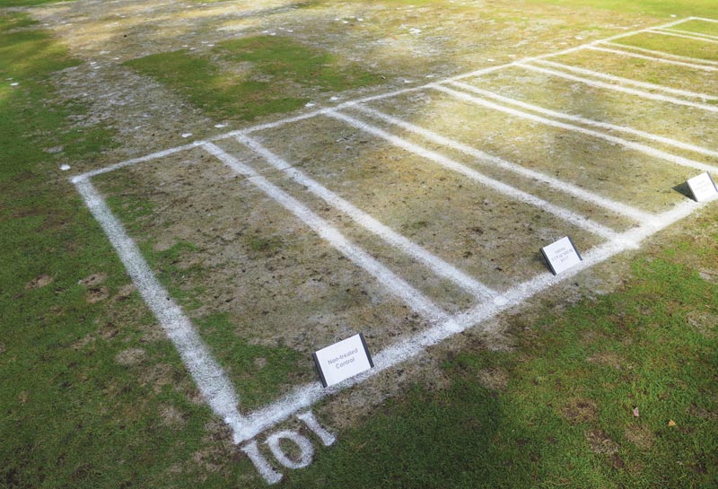 Plant uptake and optimal timing of snow mold fungicides Snow mold fungicide