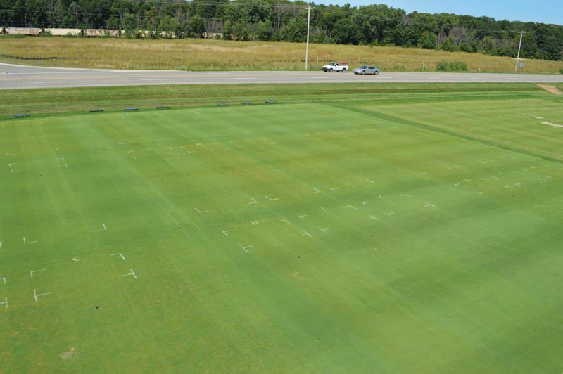 Soil surfactant effects on golf course greens Soil surfactant research