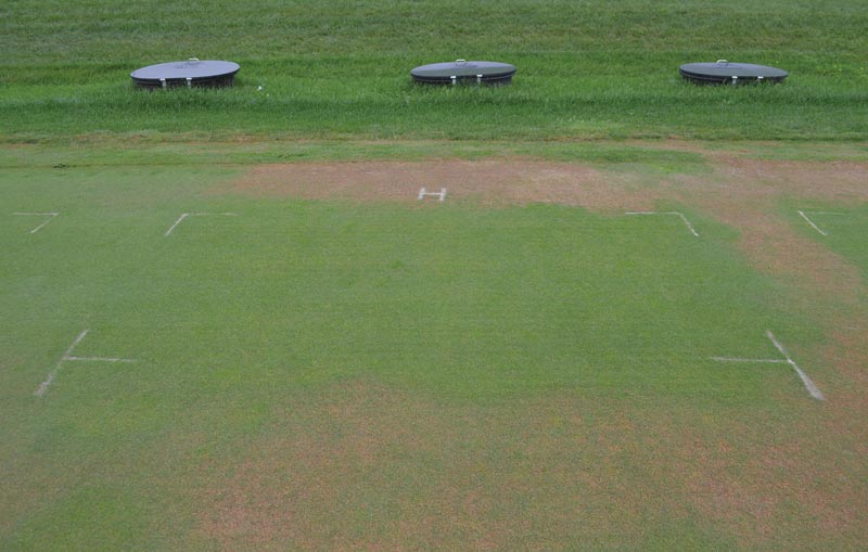 Soil surfactant effects on golf course greens Soil surfactant turfgrass