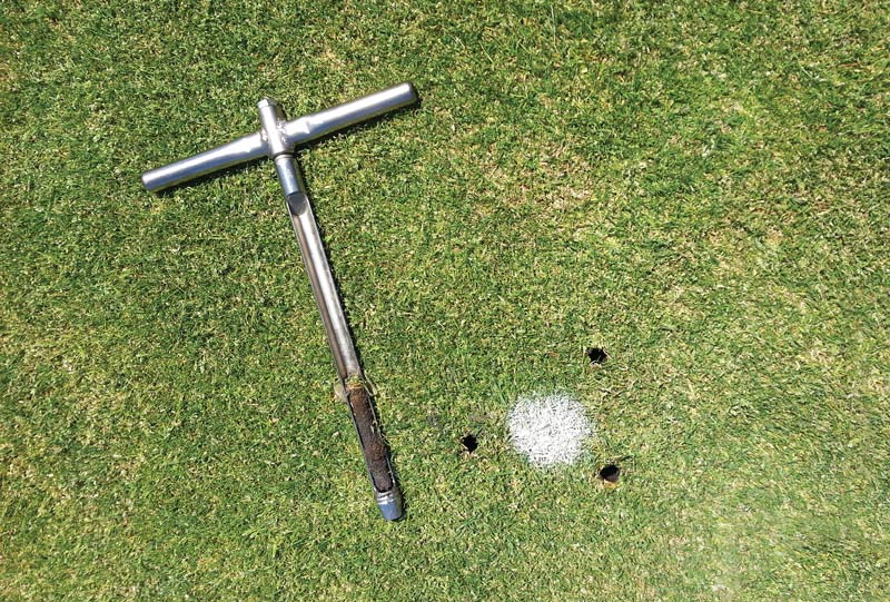 What lies beneath: The microbes at play on golf courses Turf bacteria fungi