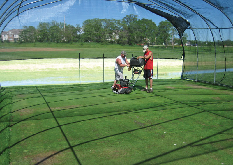 Turfgrass shade