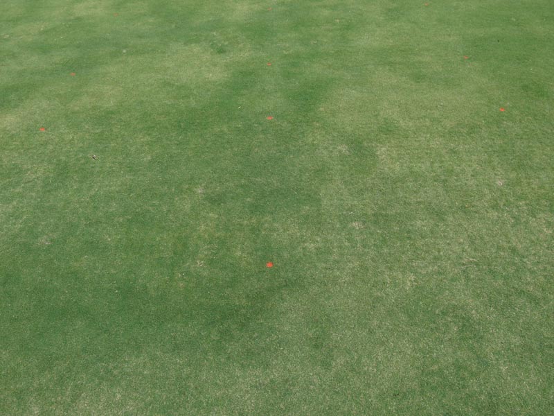 Reducing soil salinity caused by high-salinity irrigation Aerification golf course