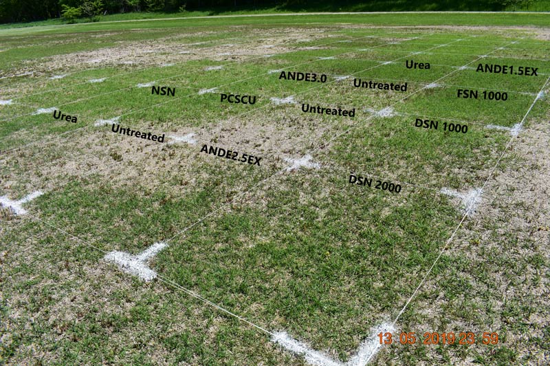 Bermudagrass fall nitrogen