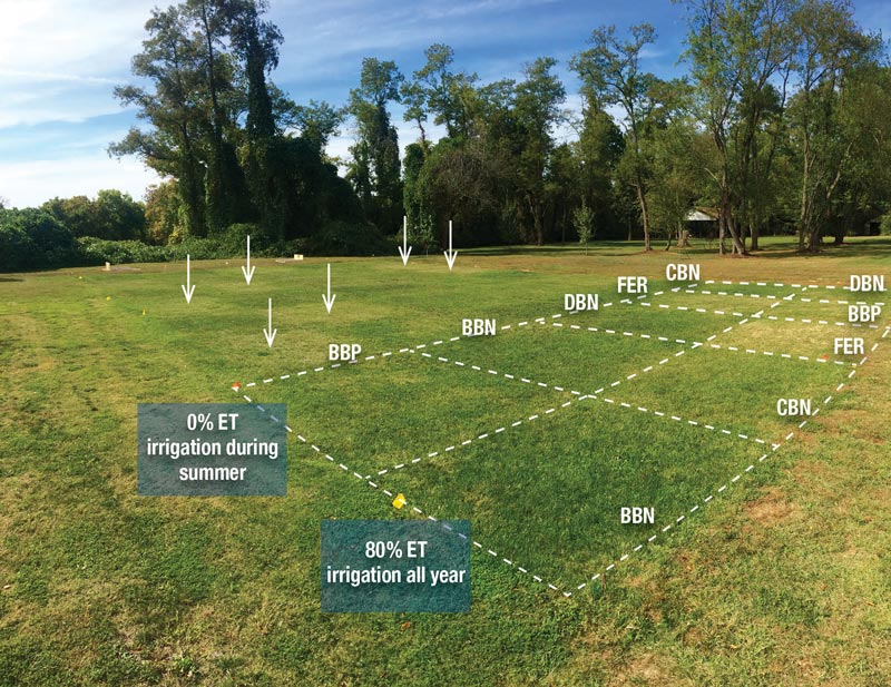 Improving soil, establishing turfgrass with biosolids fertilizers Biosolids fertilizer turfgrass