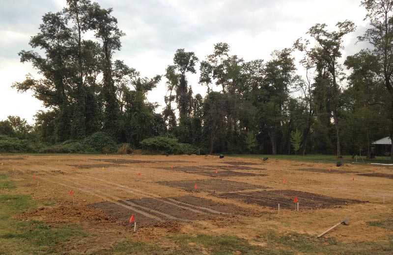 Improving soil, establishing turfgrass with biosolids fertilizers Biosolids research plot