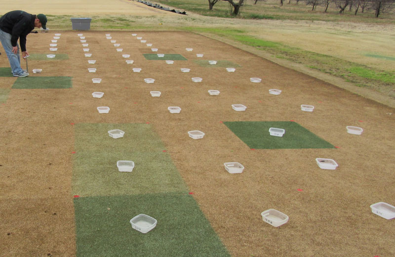 Wetting agents for winter turf protection Fall wetting agent application