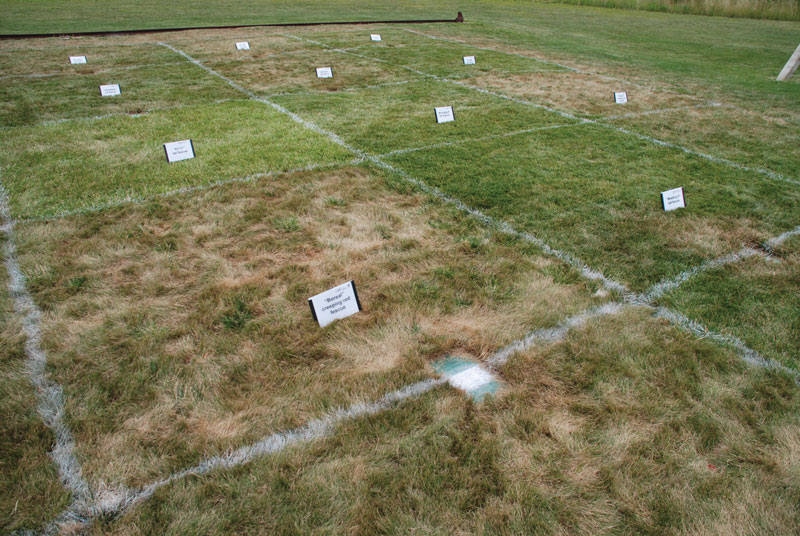 Fine fescues on golf courses: Abiotic stresses Fine fescue drought