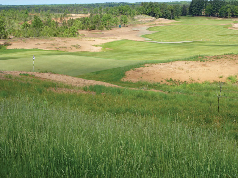 Classifying fine fescues used on golf courses Fine fescues golf course