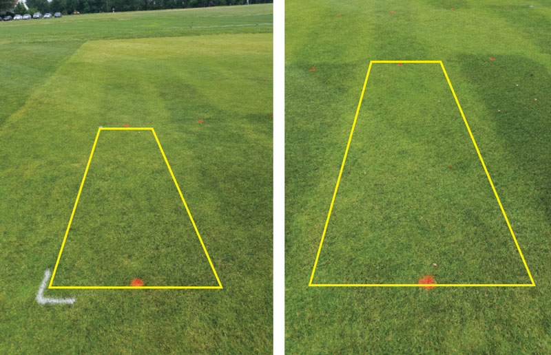 Glyphosate perennial ryegrass