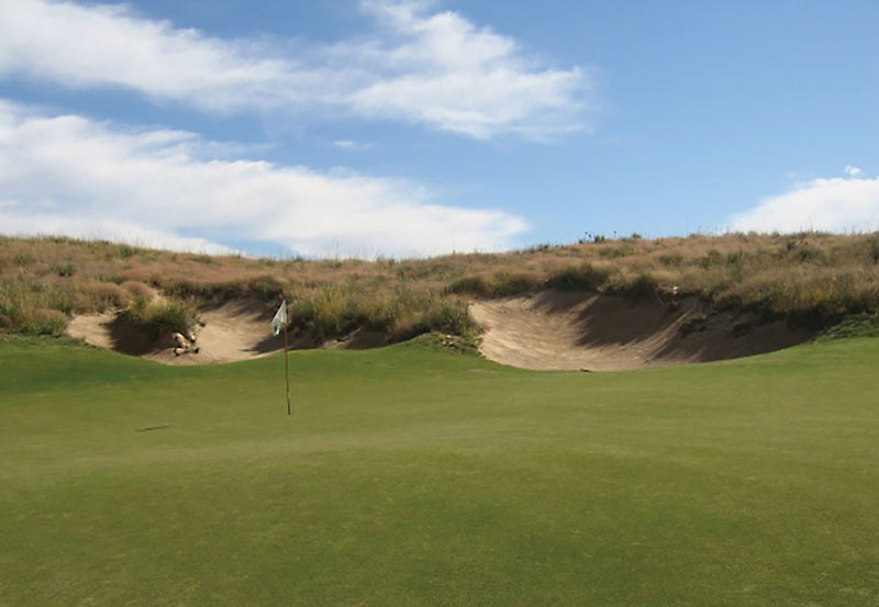 Golf course fine fescue