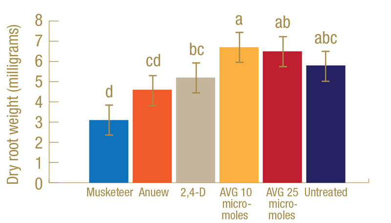 Plant growth regulator research