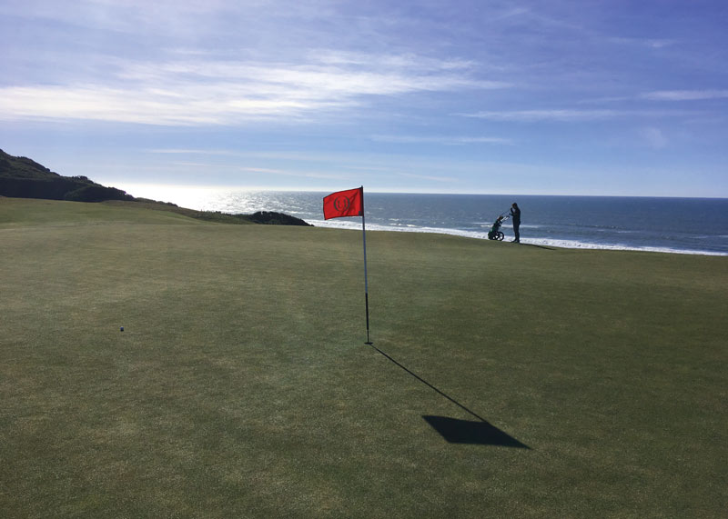 Putting green fine fescue