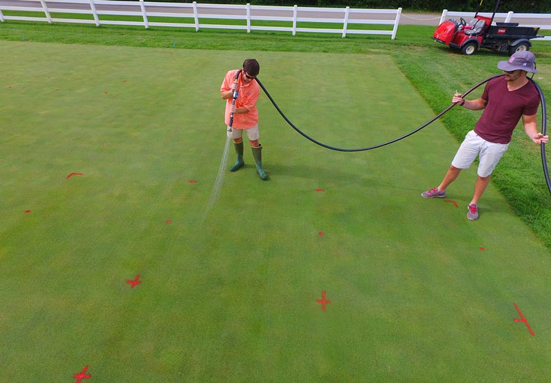Segway fungicide: Effects of irrigation on distribution Segway fungicide