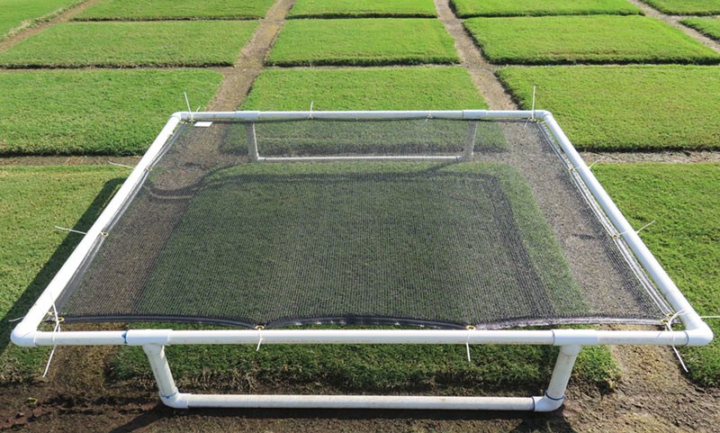 Effects of shade on warm-season turf water-use rates Shade turf water use rate