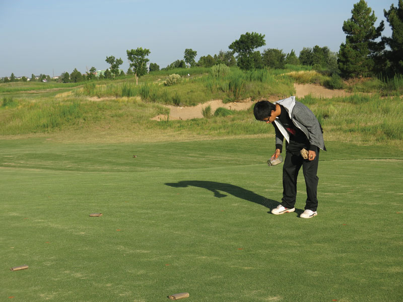 Reducing soil salinity caused by high-salinity irrigation Soil salinity research