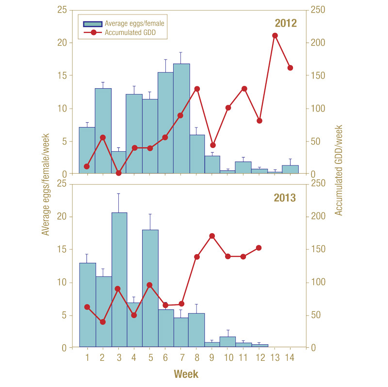 Spring management of annual bluegrass weevil ABW eggs