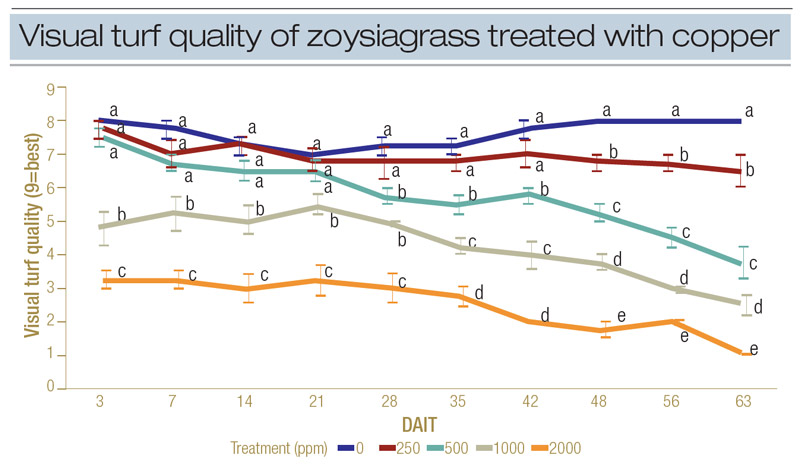 Copper effects turfgrass