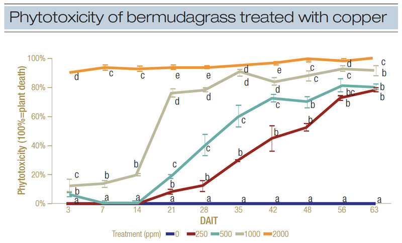 Heavy metal effects on golf course greens Copper toxicity grass