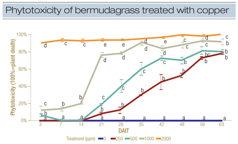 Copper toxicity grass