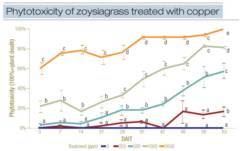 Heavy metal effects on golf course greens Copper toxicity turf