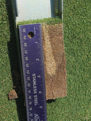 DryJect soil