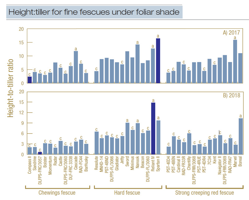 Fine fescues vs. foliar shade Foliar shade fine fescue