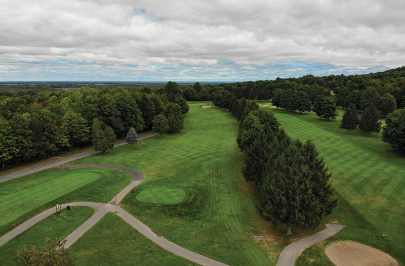 Golf course fairway pesticides