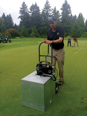 Golf shoe effects greens