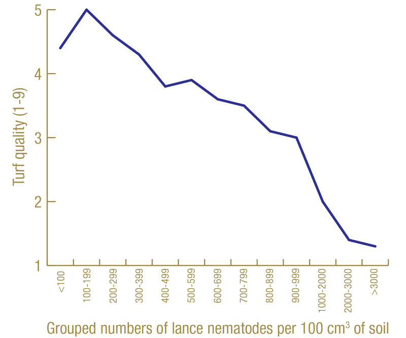 Lance nematode turf effects