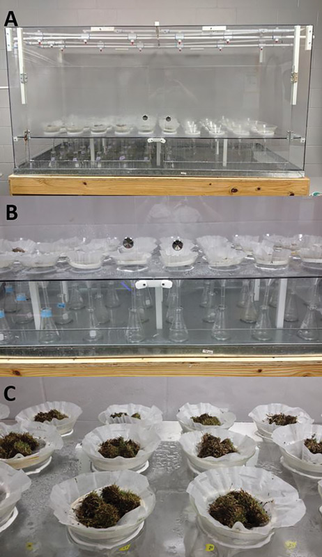 Nematode detection turfgrass