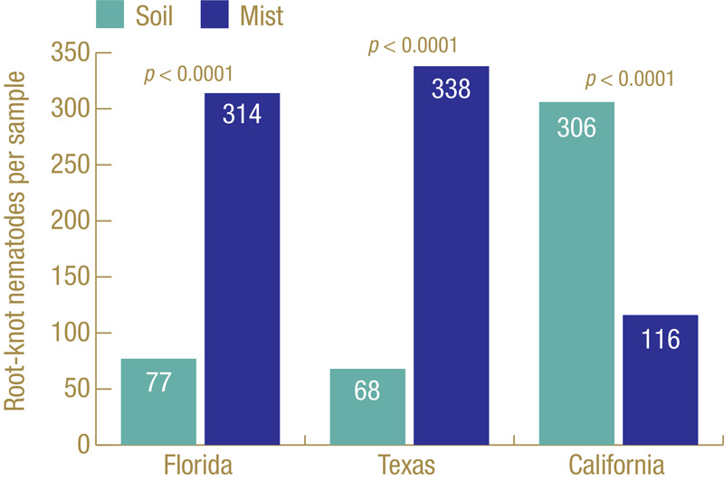 Managing root-knot nematodes in warm-season turfgrass Nematode diagnosis turf