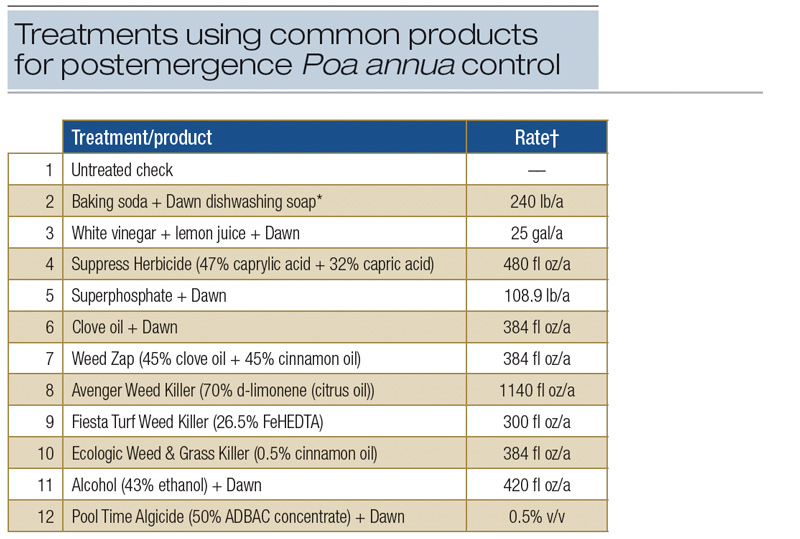 Poa annua control alternatives