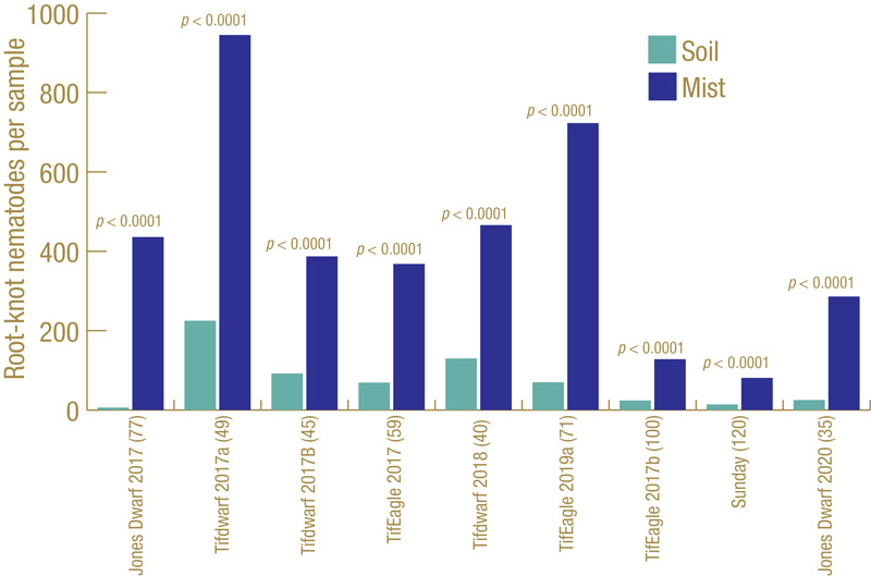 Managing root-knot nematodes in warm-season turfgrass Root-knot nematode diagnosis