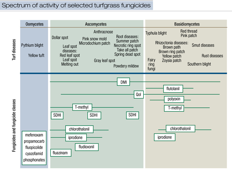 Turfgrass fungicides for diseases