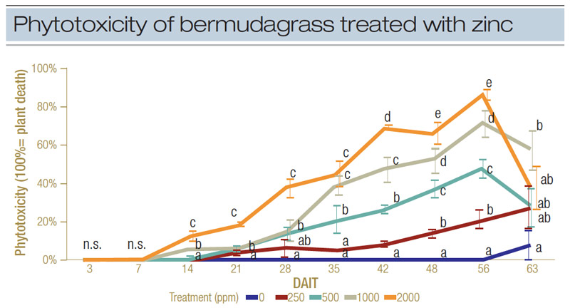 Heavy metal effects on golf course greens Zinc toxicity grass