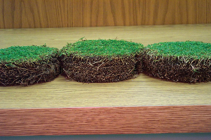 Thatch-mat accrual