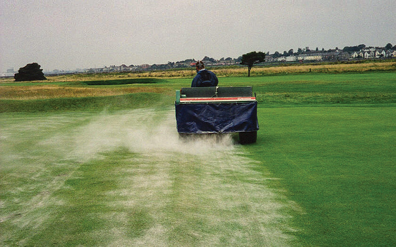 Lime application on annual bluegrass