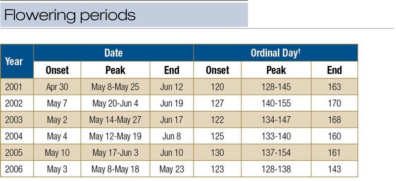 Annual bluegrass flowering period