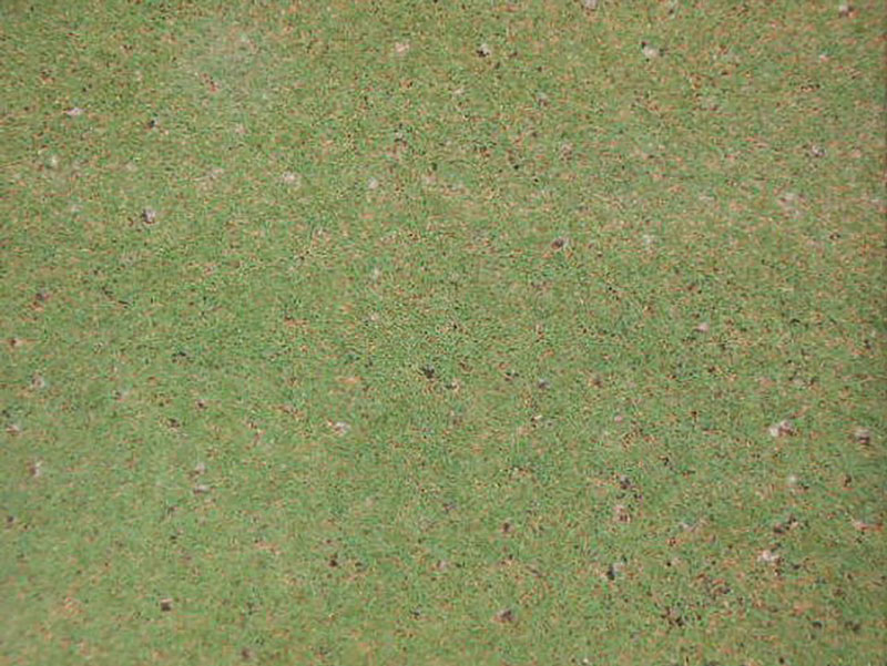 Effects of core recycling vs. conventional aerification practices Core recycling golf course