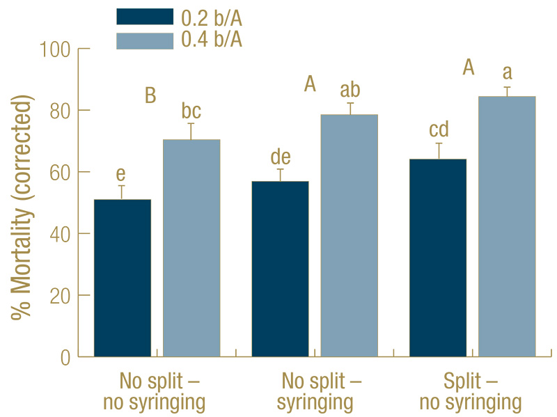 Figure 2. Mortality