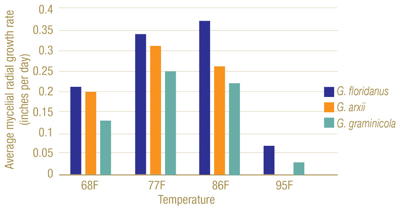 New insights on take-all root rot Gaeumannomyces species