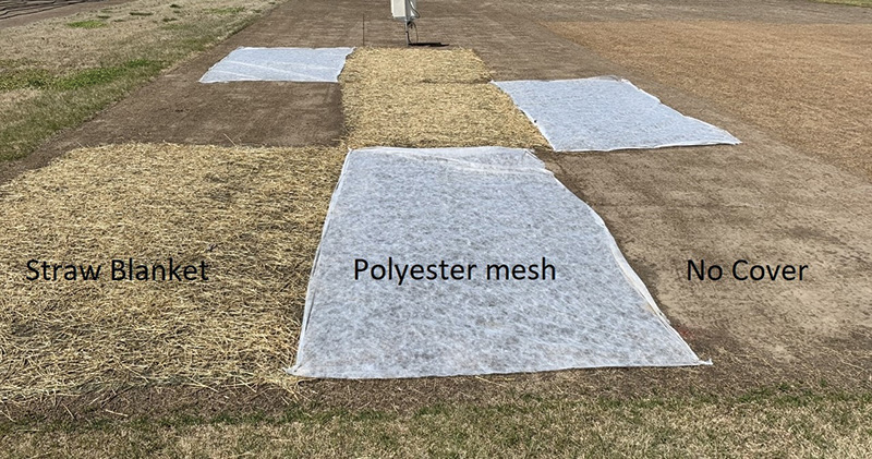 Protective cover testing on research plot