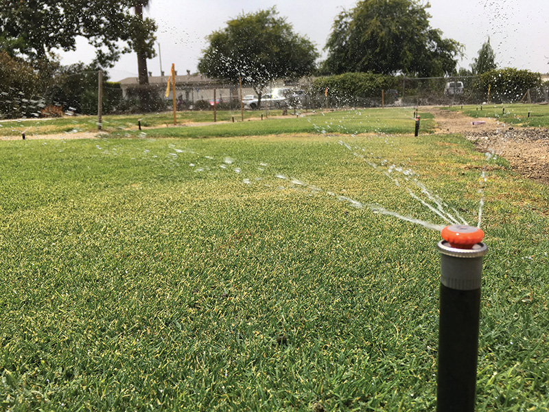Hunter PRS-40 irrigation